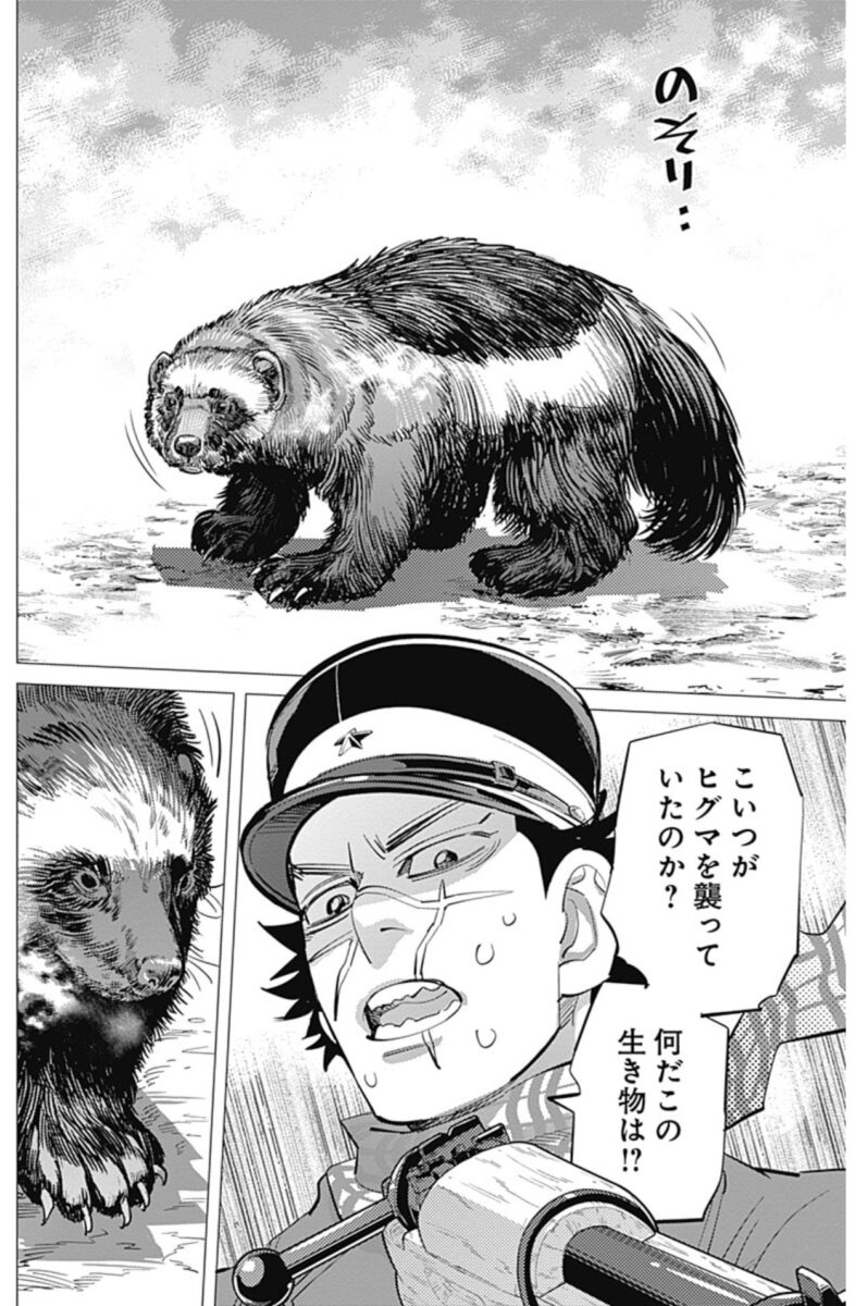 ゴールデンカムイ第14巻のクズリ登場場面・引用2